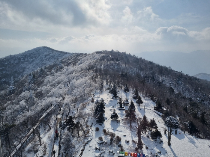 가족과 눈꽃 즐기는 겨울 산행…평창에는 특별한 게 있다