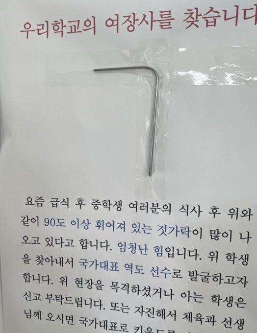 "국가대표로 키우겠습니다"…젓가락 90도로 구부린 여중생들의 놀라운 힘