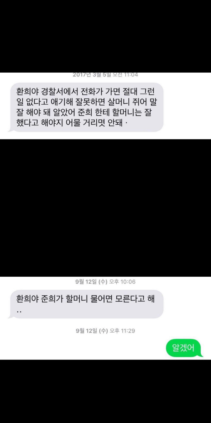 최준희 적극 반박 "앞뒤 다른 할머니 소름끼치고 무서울 뿐..이제 철없는…