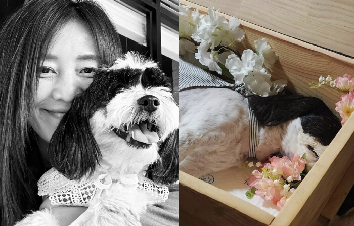 장필순, 반려견 마지막길 배웅 "꿈에서라도 만나"…애견호텔 과실로 영영 …