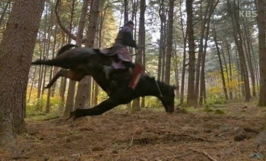 '태종 이방원' 제작진, 동물학대로 벌금형 "비용절감 위해 말 넘어뜨려"