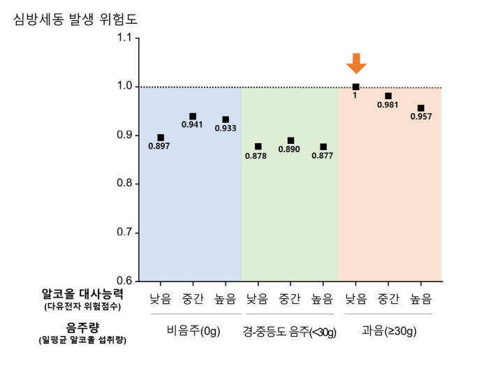 알코올 대사능력 낮을수록 심방세동 위험 높아…1잔 더 마실 때마다 1% …