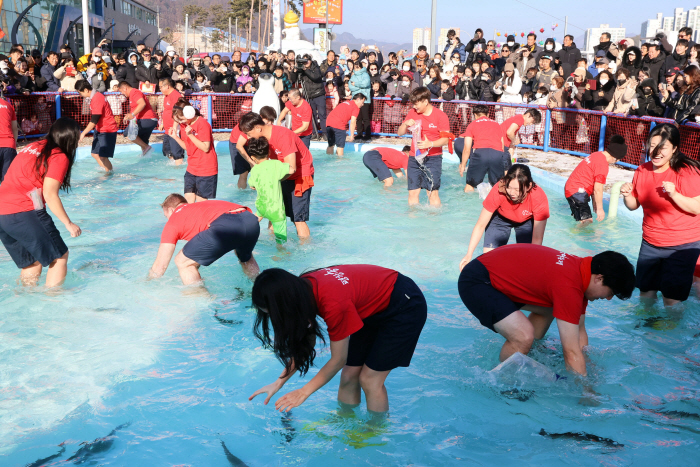 평창송어축제, 누적 입장객 18만 돌파…황금송어 잡기 등 이벤트 풍성