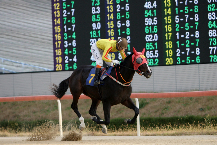 [경마] 트리플 크라운 두 번째 관문 제27회 코리안더비(G1) 개최