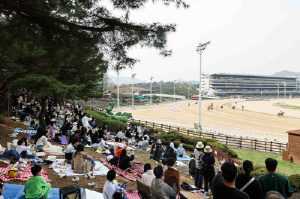 한국마사회, 렛츠런파크 벚꽃축제 축소 시행…산불 피해자 추모