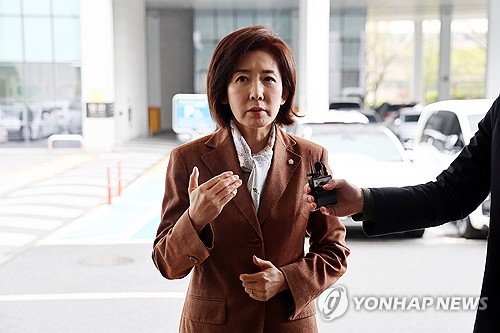 나경원, 한덕수 출마론에 "韓대행 할일 많은데 흔들어"(종합)