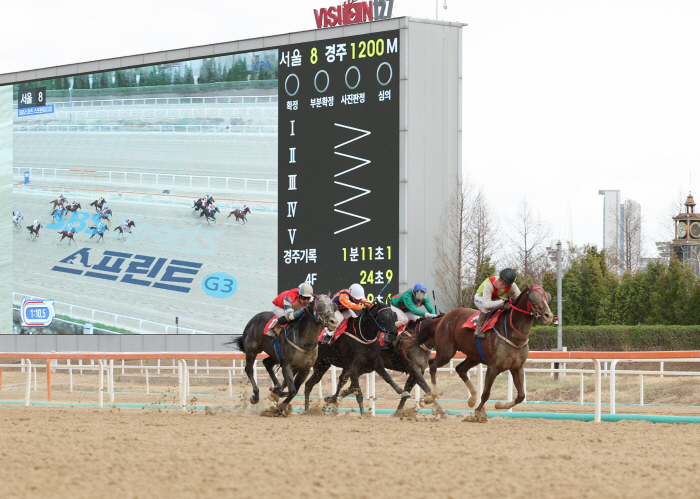 [경마]역시 단거리 최강자! '빈체로카발로', 또 한 번 날았다