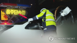 '입김 부는 시늉만'…음주 측정 거부 50대 징역 1년2월 실형