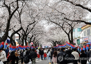 제주 왕벚꽃축제 바가지 논란 이어 집단식중독까지…80명 신고