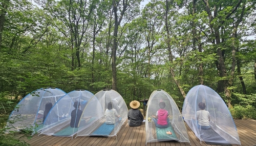 성남시, 청계산 등서 '숲속 힐링' 산림복지 프로그램 운영