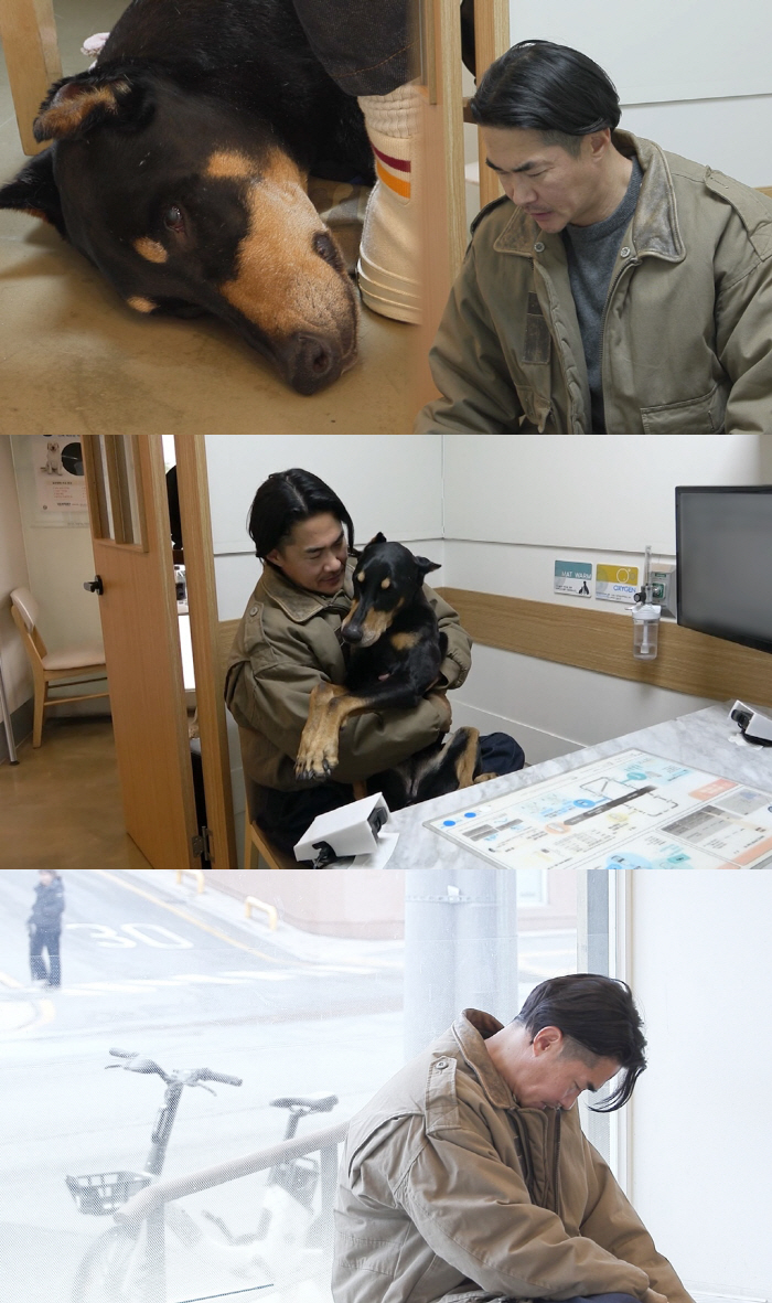 배정남 반려견, 전신마비 이겨냈건만...악성종양 '근육암'에 또 수술 "…