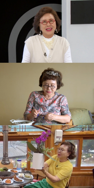 'Salja has no children.' Kim Hyung-ja adopted her nephew as her son three years ago (Perfect Life)