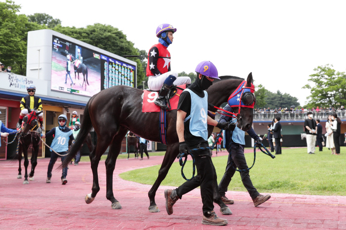  Grade 1 2000m race to leap to the top of the Seoul race