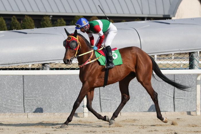  Grade 1 2000m race to leap to the top of the Seoul race