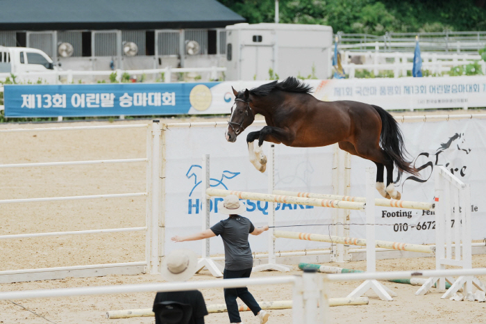  Korean Horse Association '2024 1st Domestic Horse Fair and Young Horse Racing Competition'S Completion