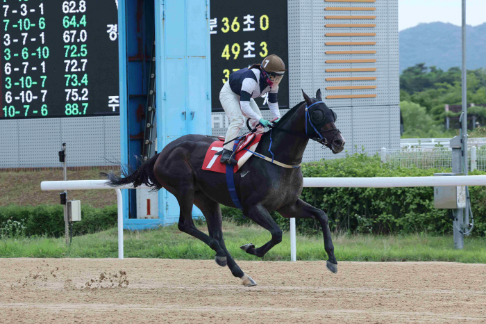 'Speed Young' won the 17th Owners' Cup with a new 1600m record