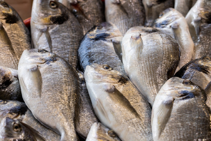 Old man who washed fish, why did he almost amputate his foot?