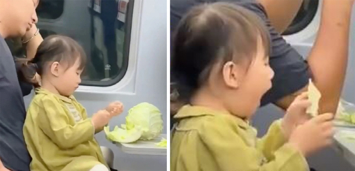 A girl trimming cabbage during a train trip 'Hazae''Freak Idea'