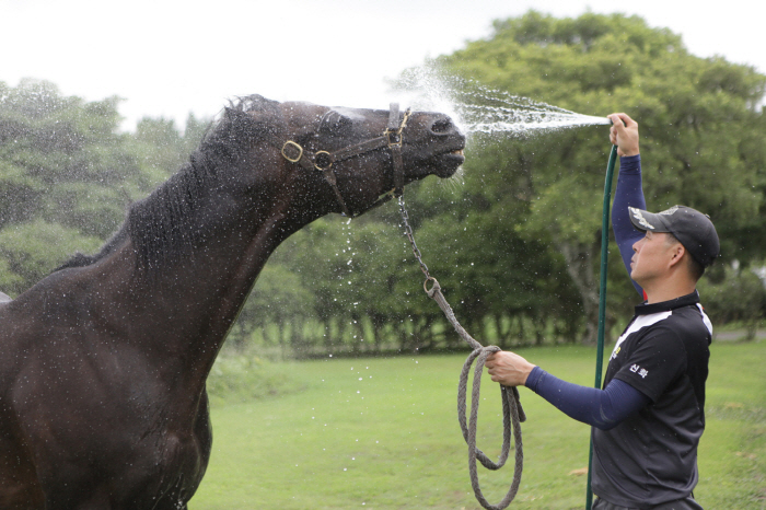 Horses' Summer Time, 'Horse Health Care in Summer' Introduction to Know-how