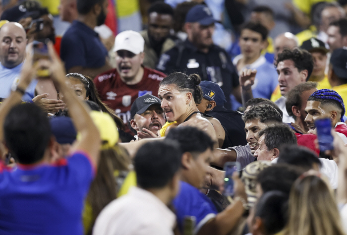 Is this a soccer player or a gangster...Liverpool's main striker tries to assault after storming the stands