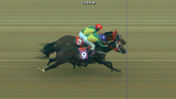  For the first time in Korean horse racing, two racehorses in the same direction tied for first place