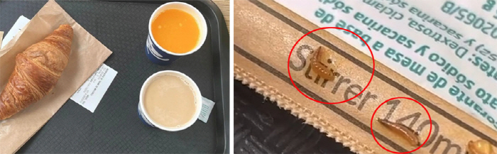 The airport that sold the bug coffee found the larvae in the juice this time