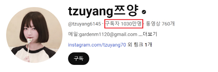 'Tzuyang, lethargic after confessing to social violence'→Netizen'Let's support by subscription'200,000 people surge