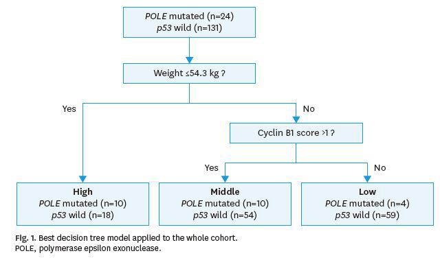 Endometrial cancer type that is difficult to distinguish, identified by body weight and biomarker