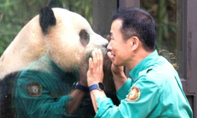 'Happiness in Acts 2 of Pan Saeng' Zookeeper Kang Cheol-won's long letter on Fu Bao's birthday'Munchle'Boo Bba TV'