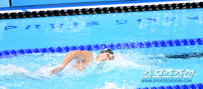  In the end, we shed tears 'Olympic New Medalist'Kim Woo-min Park Tae-hwan'Thank you for winning'