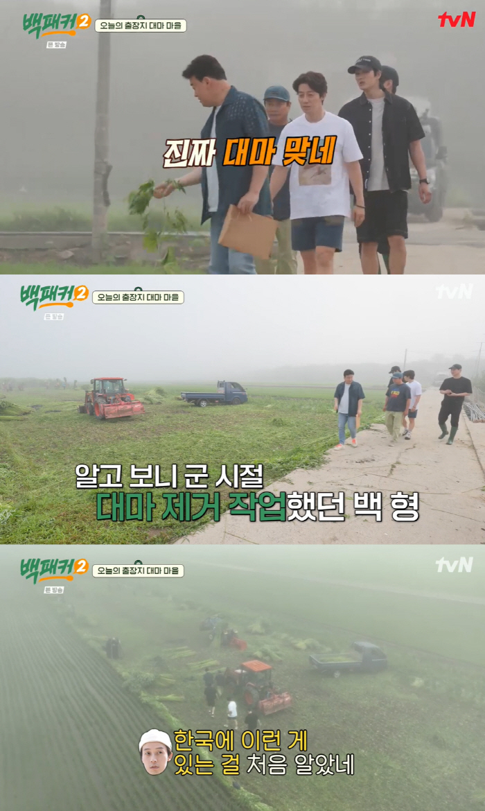 'Really Hemp, Are You Crazy' Jongwon Baek 'Amazed by 'Cannabis Request, Police Dispatch' (Backpacker 2) 