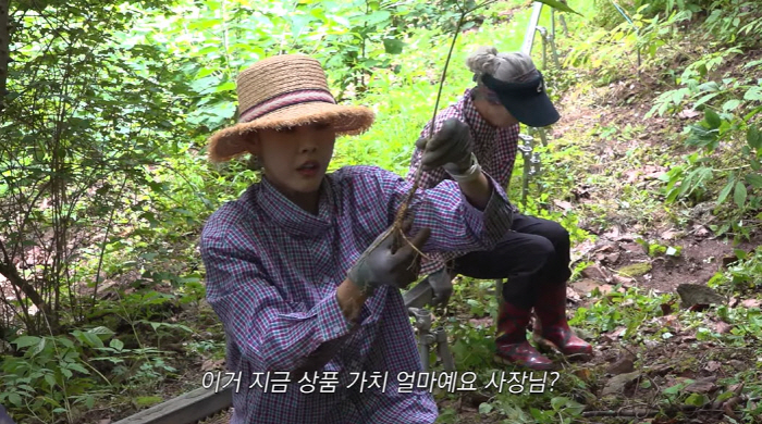 Han Hye-jin's mother and 女 dug up the 'best wild ginseng' in Hongcheon Mountain..'Calling the price' (Han Hye-jin) 