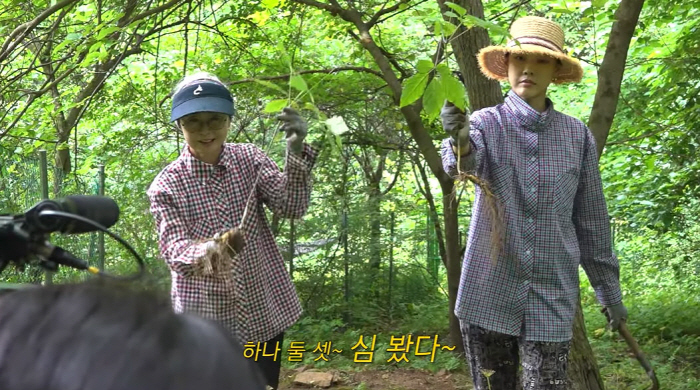 Han Hye-jin's mother and 女 dug up the 'best wild ginseng' in Hongcheon Mountain..'Calling the price' (Han Hye-jin) 