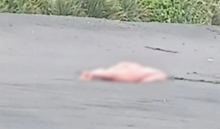 The discovery of a naked woman's body without a neck, it turns out