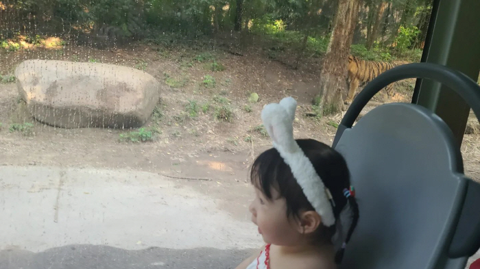 Doctor ♥'Lee Jung-hyun,'Second prenatal education  First daughter parenting' At the same time 'Kindergarten vacation, safari'