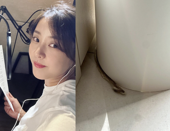 'Found a snake in the house'Park Eun-hye'I searched the whole house, but there was no snake'Restored Stability