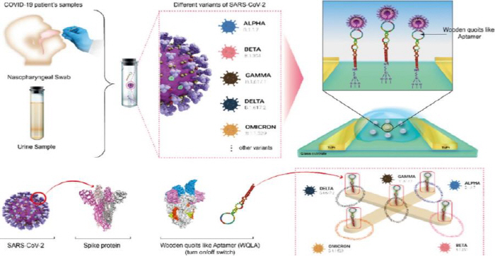 Micro-COVID variants also detected within seconds Successfully developed 'Aptamer-based biosensor'