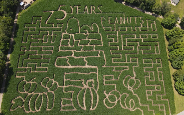 Dedicated to the 75th anniversary of the serialization of 'Snoopy'Cartoon 'Pinnuts' on Corn Farm