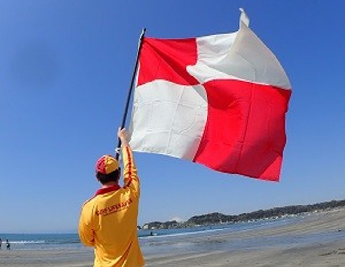 Why should we evacuate immediately if we see 'this flag' on the beach in Japan