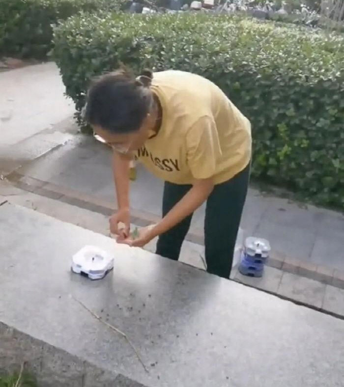 a woman with a cockroach in her garden