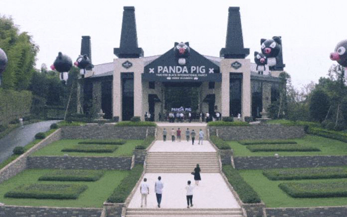 中 A couple born in the Year of the Pig  'Pig Farm' may smell like a wedding trend