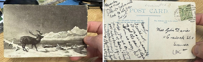 Postcards Arrived 121 Years After Shipment, What Happened?