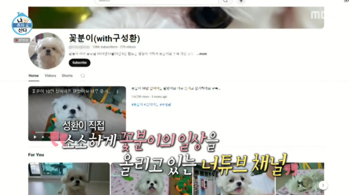 'Na-Honsan'Ko Sung-Hwan, 'Five commercials for two months'Flowerbun' YouTube Silver Button'