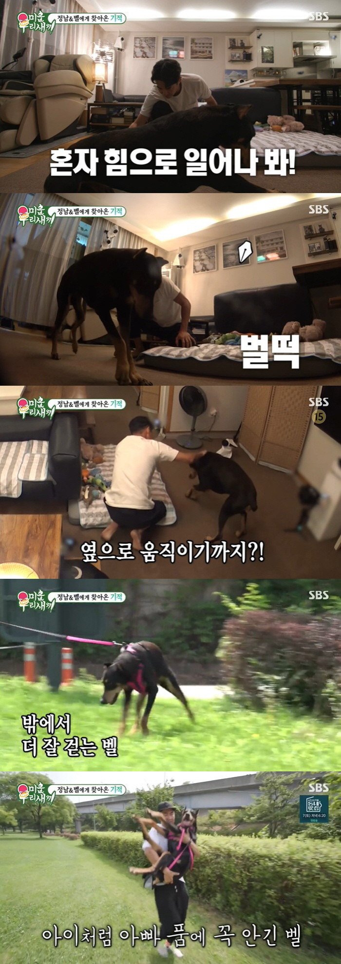 Bae Jeong-nam, 'Full Body Paralyzed' Miracle that came to the dog 'It's possible to walk alone'('My Little Old Boy')