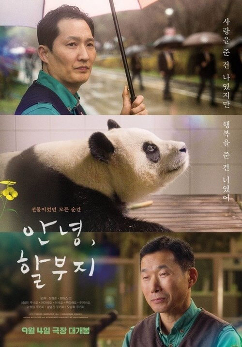 'Baby Panda' Fubao made his screen debut..·'Hello, Grandpa' will be released on the 4th of next month