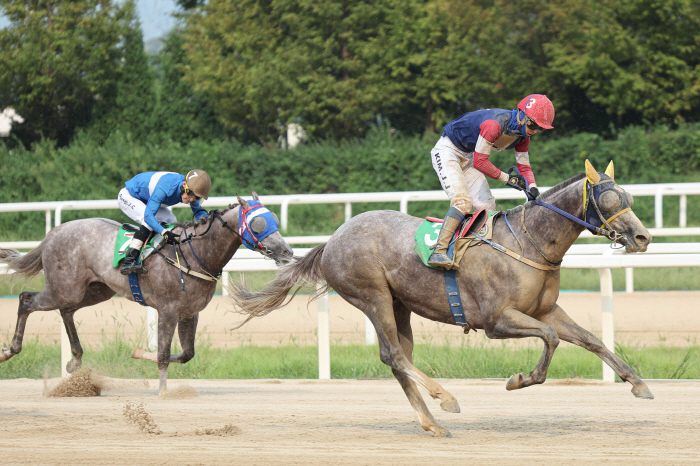  Captain PK, a new racehorse of luxury descent, became a super rookie by winning a special race 'Rookie Stakes@Seoul'