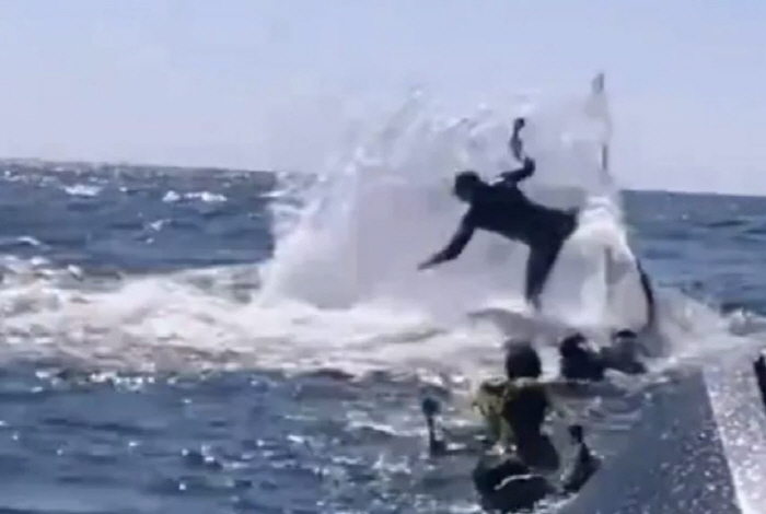 Snorkelers levitated with whale tails