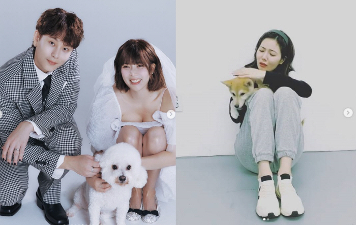 HyunA and Yong Jun-hyung’s Wedding Pictorial Sparks Controversy Over Missing Dog