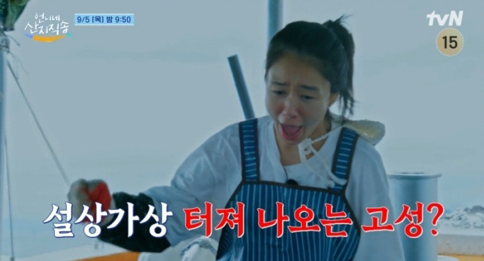 Ahn Eun-jin, who was bright, burst into tears 'I'm upset' Confession (''My sister's direct delivery to the mountains')