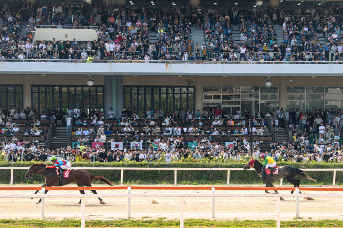 'Winner goes to the U.S. and Horse Racing Fan goes to Tottenham!' Korea-U.S.-Japan three-way race opens on September 8th, the 7th Korea Cup